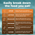 thumbnail image 6 of Digestive Enzyme Supplement - Lactase and Lipase Enzymes to Support Better Digestion, by PureHealth Research, 6 of 10