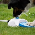 thumbnail image 3 of EVHRZN Dog Sprinkler Paw Activated, Dog Step on Water Fountain, Activated Outdoor Pet Water Sprinkler with Hose, for Small & Large Dogs Cats, 3 of 7