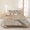 Beige, variant on 3 Pieces Queen Quilt Set,Coastal Ocean Starfish Shell Conch Soft Bedding Sets with 1 Quilt & 2 Pillow Shams,Summer Beach Marine Theme Summer Bedspread Lightweight Coverlet Comforter for All Season