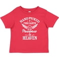 thumbnail image 3 of Inktastic Handpicked for Earth by My Pawpaw in Heaven with Angel Wings Boys or Girls Baby T-Shirt, 3 of 5