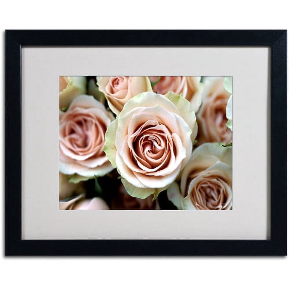 Trademark Fine Art 'Pale Pink Roses' Matted Framed Art by Kathy Yates