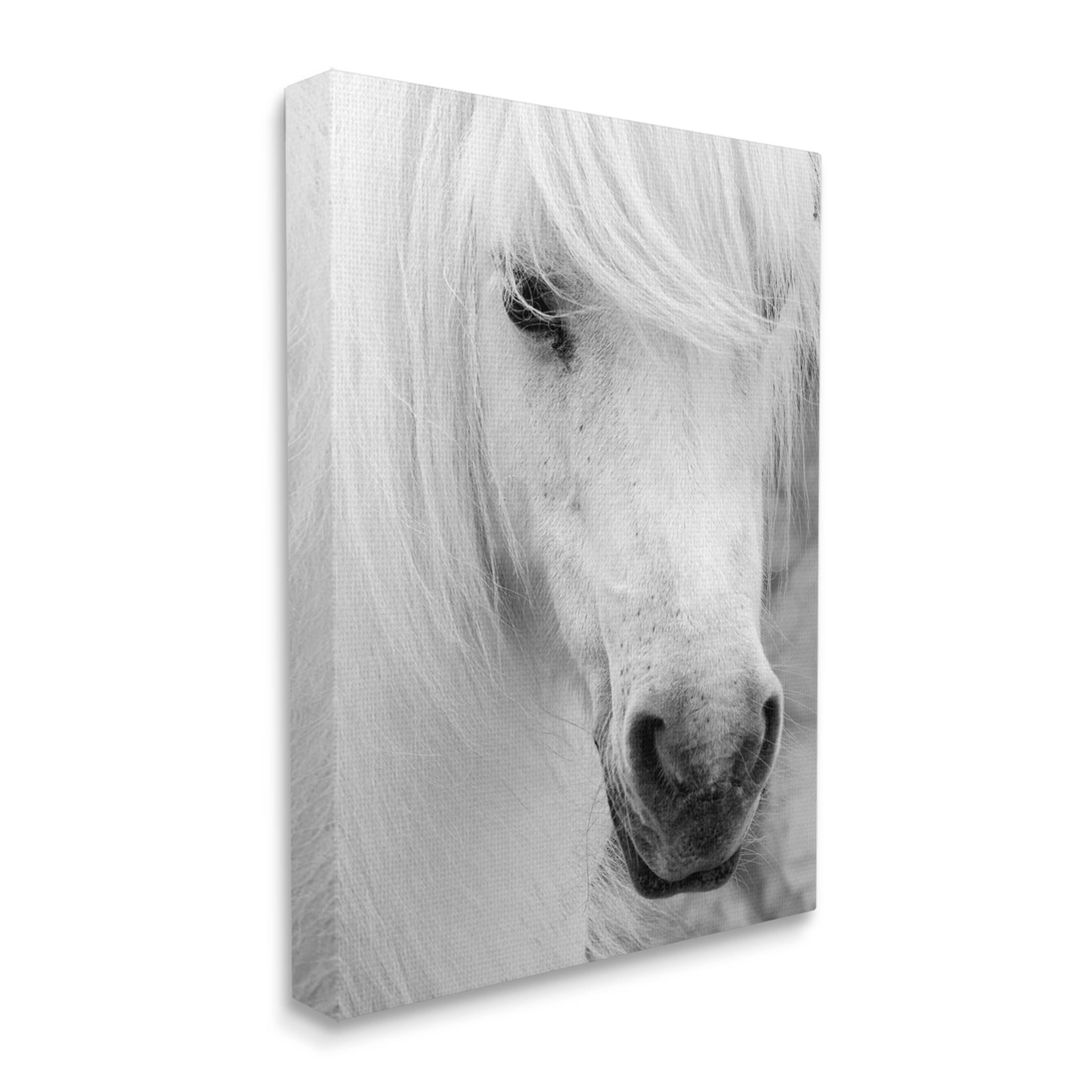 Elegant White Horse Stallion Animals & Insects Photograph Gallery Wrapped Canvas Print Wall Art