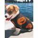 thumbnail image 2 of Pijamas familiares a juego para Halloween, peleles para bebé/ropa para perro/camisetas de manga larga y pantalones con estampado de calabaza., 2 of 7