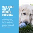 thumbnail image 4 of Juguete Perro Kong Puppy KP1 Goma Talle L Large, 4 of 5