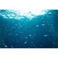 thumbnail image 1 of Bubbles Underwater Poster Print, Large - 36 x 24, 1 of 1