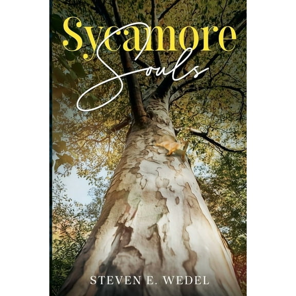 Sycamore Souls, (Paperback)