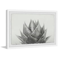 Agave Ii Framed Painting Art Print, 18.00" x 1.50"