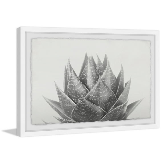 Agave Ii Framed Painting Art Print, 18.00" x 1.50"