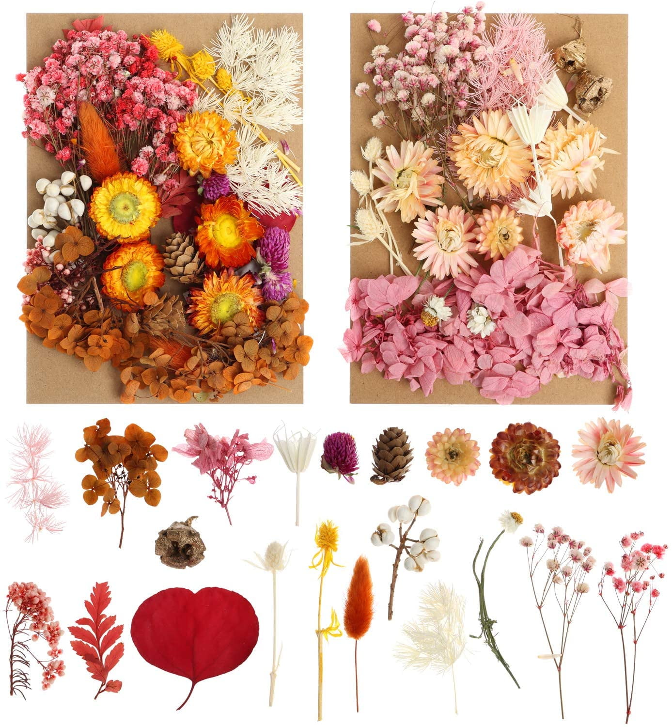 Dried Flowers Flowers Four Leaf Clover Pressed flowers,dried flowers