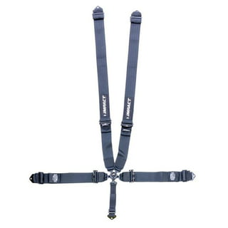 Rs Point Camlock Harness