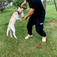 thumbnail image 2 of Palo de cáñamo grueso para adiestramiento de perros, palo para morder Diao, palo para morder para perros, objetivo para morder, suministros para mascotas, suministros para adiestramiento de perros, 2 of 5
