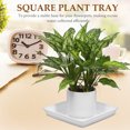 thumbnail image 3 of unbranded 2Ud Platos Para Plantas Plásticos Bandejas Captadoras De Para Uso Interior Y Exterior, 3 of 8