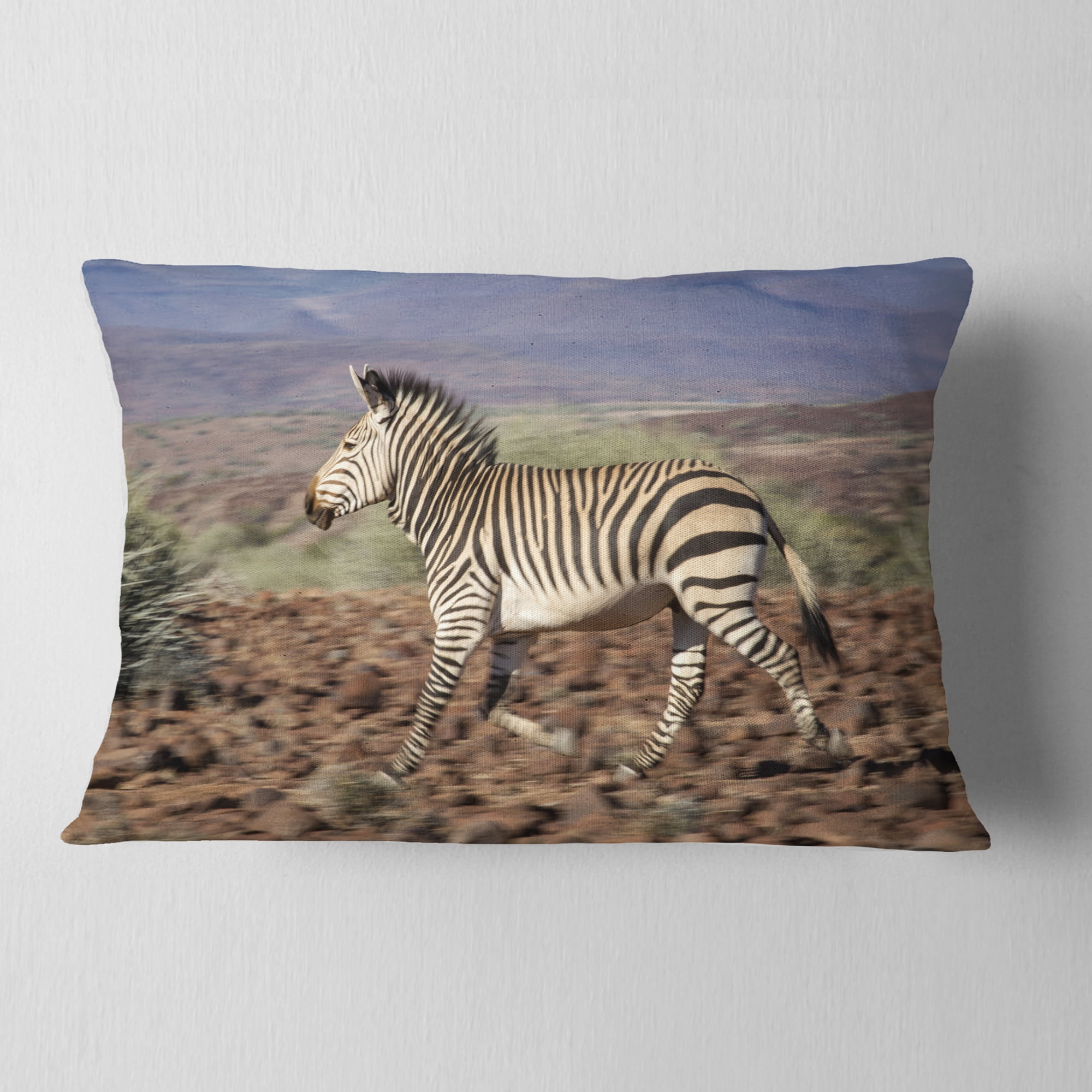 Designart Zebra in Damaraland - Landscape Photography Throw Pillow - 12x20