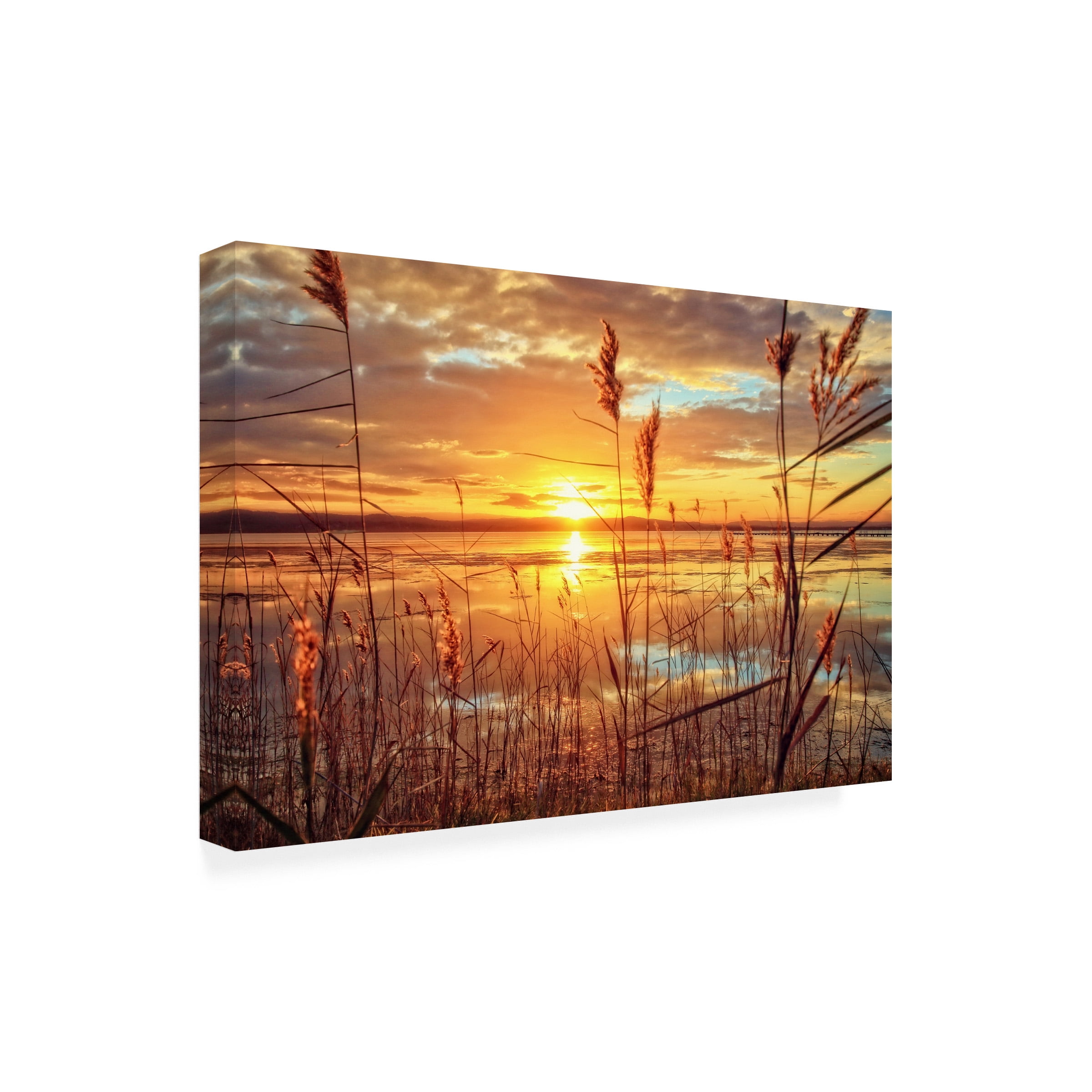 Beata Czyzowska Young 'Sunset Melody' Canvas Art