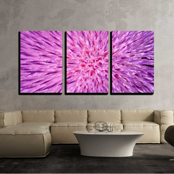wall26 - 3 Piece Canvas Wall Art - Background of Thistle Flower Closeup - Modern Home Art Stretched and Framed Ready to Hang - 24"x36"x3 Panels