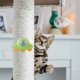 thumbnail image 5 of Juguetes de hierba gatera para gatos Pelotas para lamer gatos saludables Accesorios naturales para mascotas (B), 5 of 6