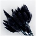 thumbnail image 1 of 50/60pcs Dried Flower Grass Decoration Photography Props For Home Store Wedding, 1 of 3