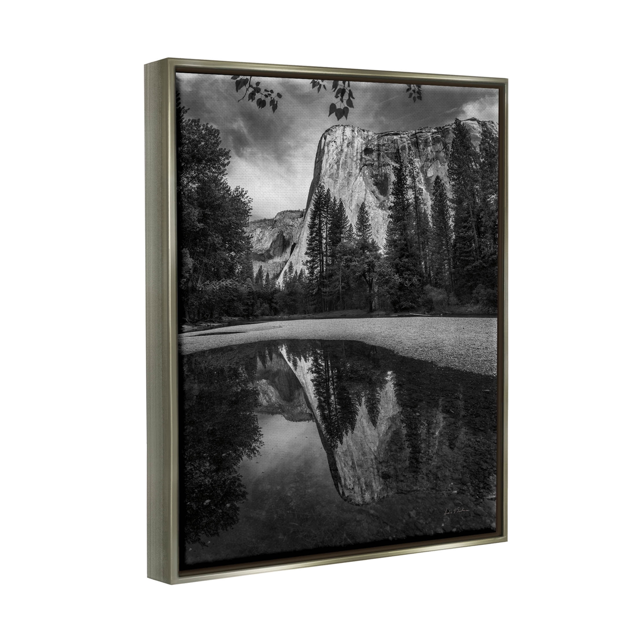 Stupell Industries Yosemite Wildlife Nature Reflection Photograph Luster Gray Floating Framed Canvas Print Wall Art, Design by Andre Eichman