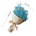 thumbnail image 3 of Natural Dried Flower Home Natural Dried Flower Full Gypsophila Peony Flowers outside Flowers Flowers for Outdoors in Pot Flowers Flowers for Wreath Making Small Roses Flowers Chrysanthemum, 3 of 4