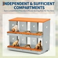 thumbnail image 2 of GloryStar Egg-Safe Nesting Boxes for Chickens, Convenient Chicken Laying Boxes for Coops, Easy to Install and Maintain with Smooth Cleaning Surfaces, 2 of 7