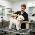 thumbnail image 6 of FEOLGEHLY Pet Dematting Comb for Dogs Cats - Undercoat Rake Deshedding Brush with Stainless Steel Teeth, Rounded Tips, Non-Slip Handle, Gentle Grooming Tool for Long Short Hair Breeds (Yellow), 6 of 7