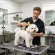 thumbnail image 5 of Peine Desenredante para Perros y Gatos: Cepillo para Eliminar El Pelo Muerto y Nudos Sueltos, Así Como El Pelaje de Razas de Pelo Largo o Corto. Rastrillo Ergonómico para El Aseo., 5 of 6