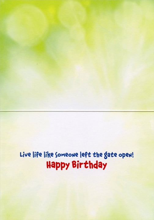 Details about   Avanti Running Dog Funny Birthday Card 