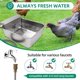 thumbnail image 5 of Dispensador de agua para perros MODUODUO de 23 L de acero inoxidable con llenado automático, 5 of 8