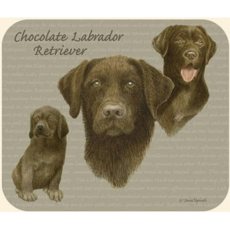 - Chocolate Lab Mouse Pad by Fiddler's Elbow - M91FE
