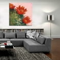 thumbnail image 5 of Epic Art 'Blooming Succulent IV' by Carol Rowan, Acrylic Glass Wall Art, 36"x36", 5 of 8