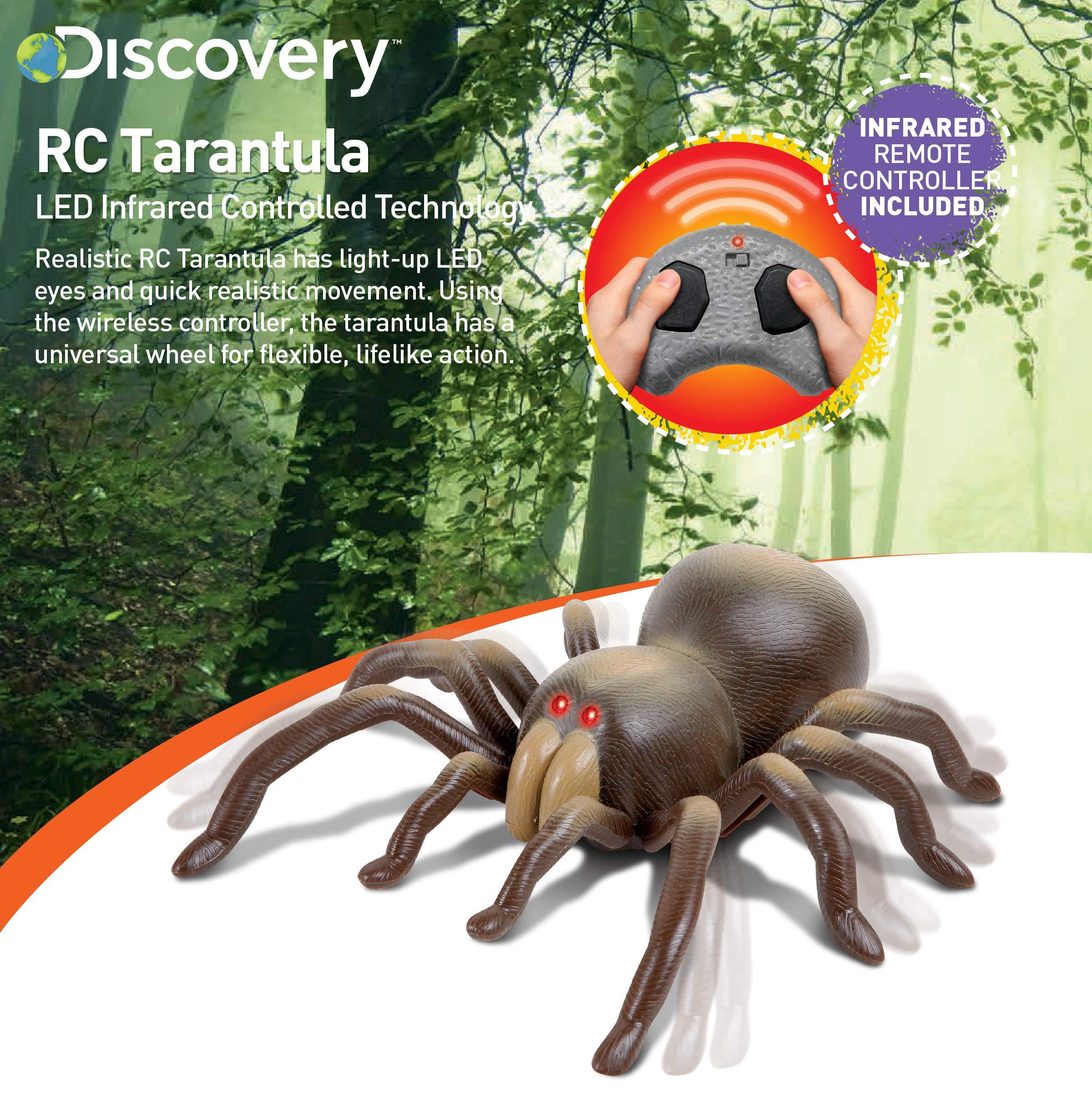 discovery remote control tarantula