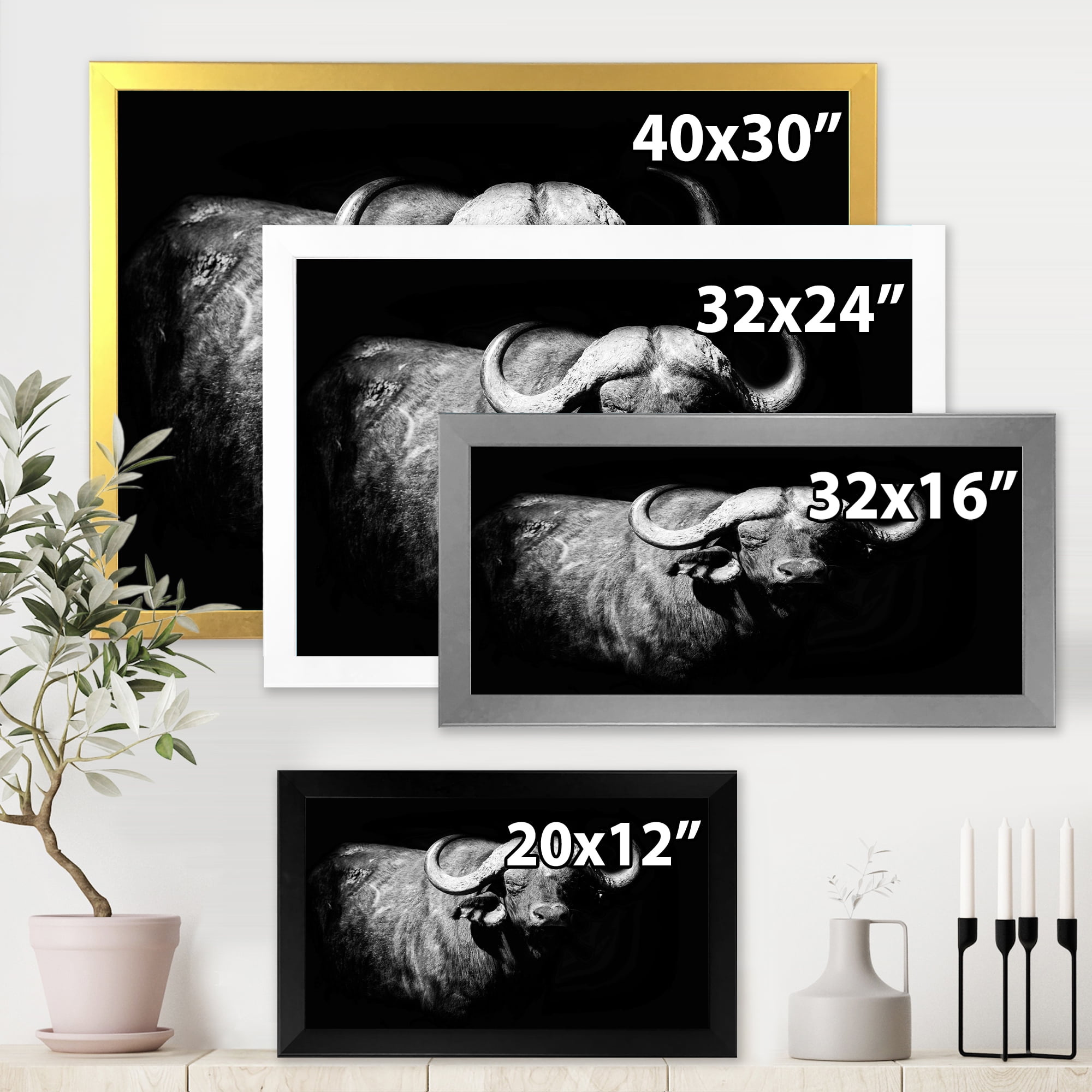 Designart 'Black and White Portrait Of Buffalo I' Farmhouse Framed Art Print