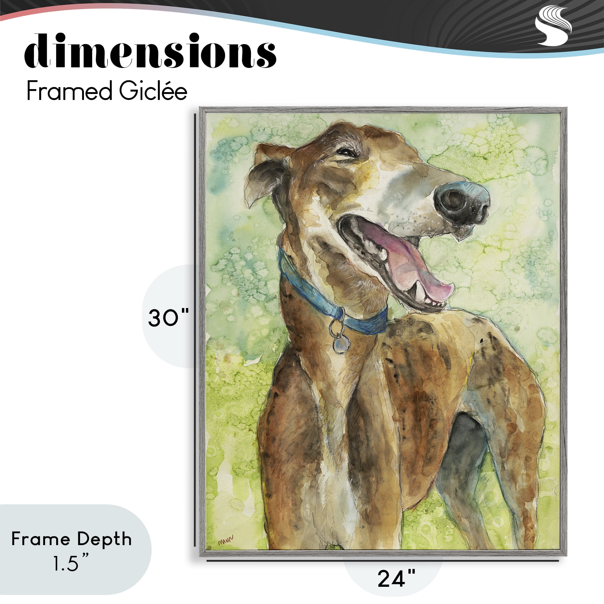 Stupell Industries Greyhound Smile Watercolor Gray Framed Giclee Art, design by Patti Mann