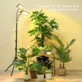 thumbnail image 2 of Grow Light with Stand Tri-Head LED Plant Light for Indoor Plants Full Spectrum LEDs Grow Lamp Timer Dimmable Levels Switch Modes Adjustable Tripod Stand - e, 2 of 7