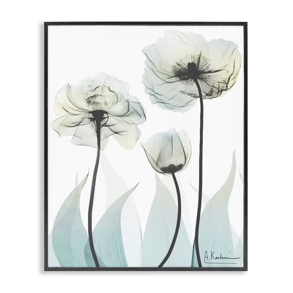 Stupell Industries Contemporary Luxury Of Creation Black Framed Giclee Art, 11 x 14, by Albert Koetsier