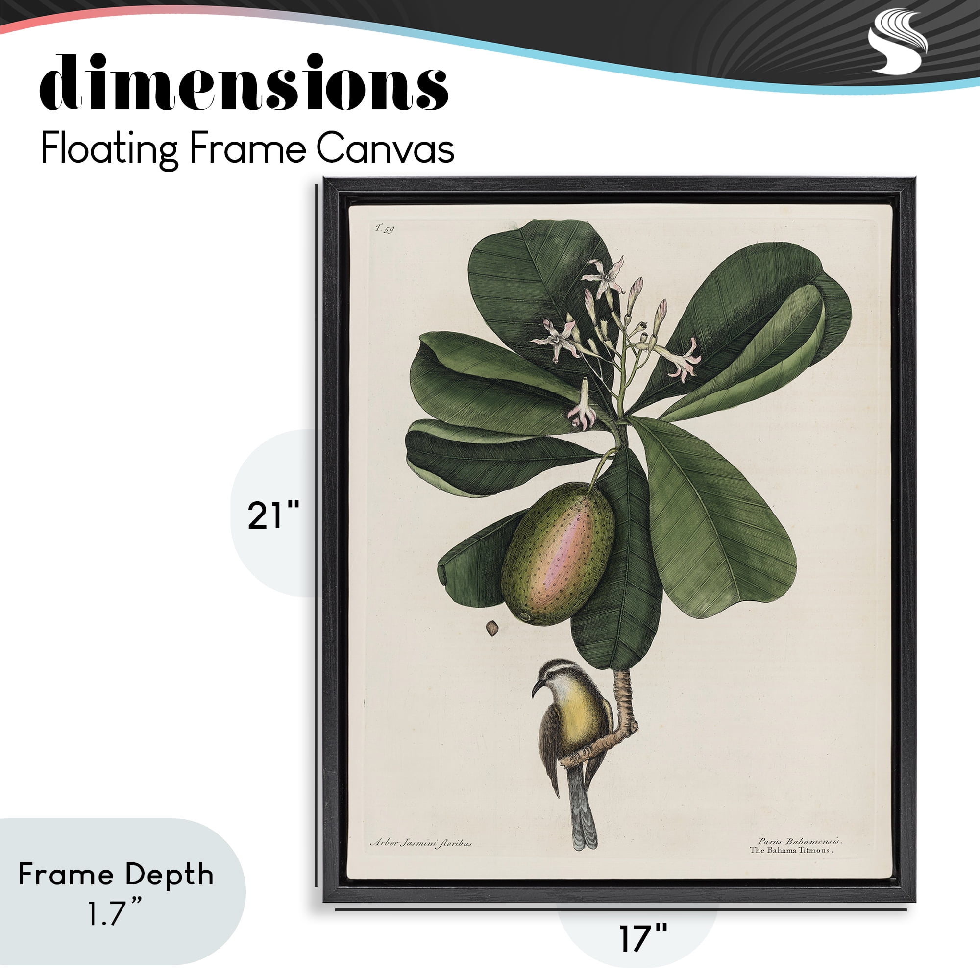 Stupell Industries Catesby Flora & Fauna Black Framed Floater Canvas Wall Art, design by Print Collection