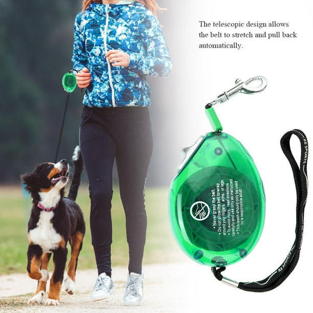 Retractable chain dog leash discount