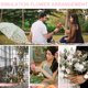 thumbnail image 2 of unbranded 50Ud Flor Artificial De Para De Eventos Y Ambientes Festivos, 2 of 5