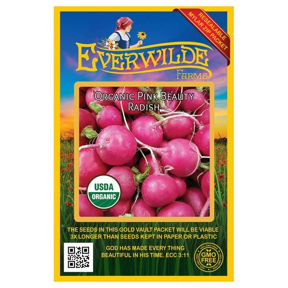 Everwilde Farms - 150 Organic Pink Beauty Radish Seeds - Gold Vault Jumbo Bulk Seed Packet