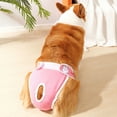 Pet Menstrual Pants Female Dog Diapers Sanitary Panties Breathable Dog Period Pads Underwear for