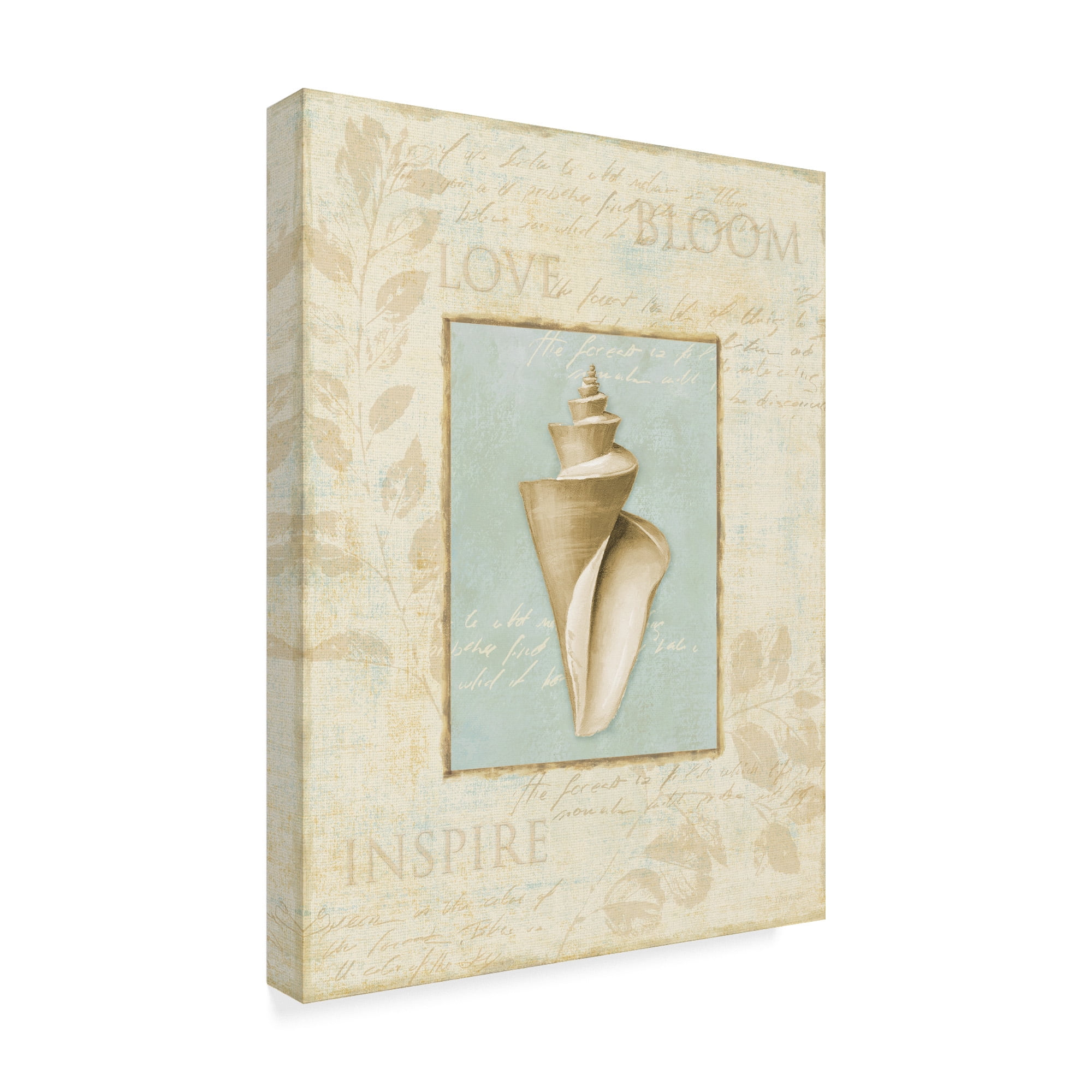 Trademark Fine Art 'Soothing Words Shells III' Canvas Art by Lisa Audit