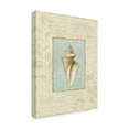 thumbnail image 2 of Trademark Fine Art 'Soothing Words Shells III' Canvas Art by Lisa Audit, 2 of 3