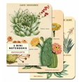 thumbnail image 2 of Ntbk Mini Succulents Set/3, 2 of 3