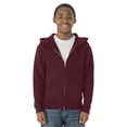 thumbnail image 1 of Jerzees Sweat à Capuche Zippé Complet pour Jeunes, TG, Marron, 1 of 1