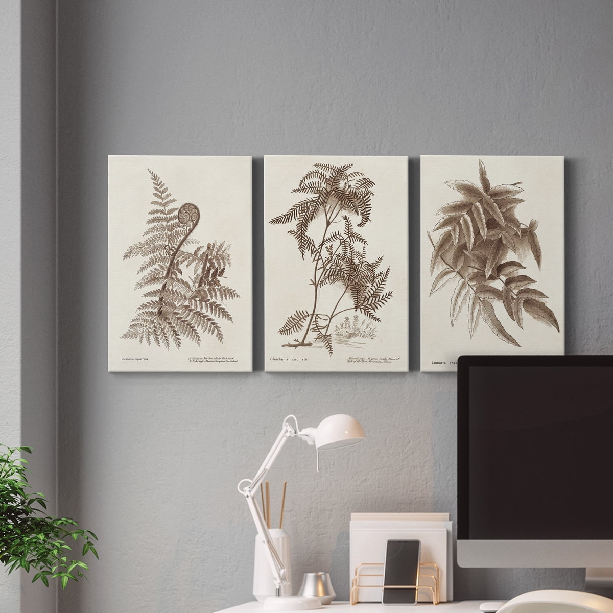 Sepia Fern Varieties I Premium Gallery Wrapped Canvas - Ready to Hang - 24 x 36 Each