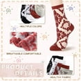 thumbnail image 5 of CAILDANL Women Sheer Socks Sheer Ankle Socks for Women and Girls, 5 of 5