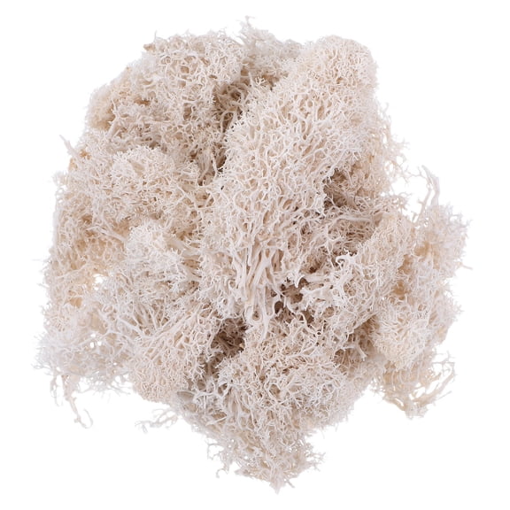 HEMOTON Preserved Fresh Moss DIY Floral Material Accessory Beautiful Decoration for Wedding Party Garden 50g (White)