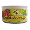 Josh's Frogs Canned Mealworms (35g)
