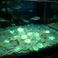 thumbnail image 5 of SouMaox Artificial Starfish Sea Shells Aquarium Decor, Glowing Stones for Fresh Water Saltwater Tank, Luminous Night Light Decor, 0.59" Orange, 5 of 6