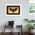 thumbnail image 3 of Art.com Death's Head Moth Art Print by Lantern Press, White Frame Wall Art, 44" x 32", 3 of 5